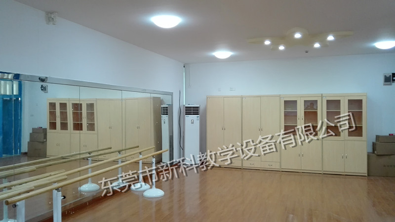 <a href='http://m.szmljz.com/chanpin/59-1.html' target='1' style='font-size:18px; font-weight:bold; color:#000000;'>舞蹈室</a>