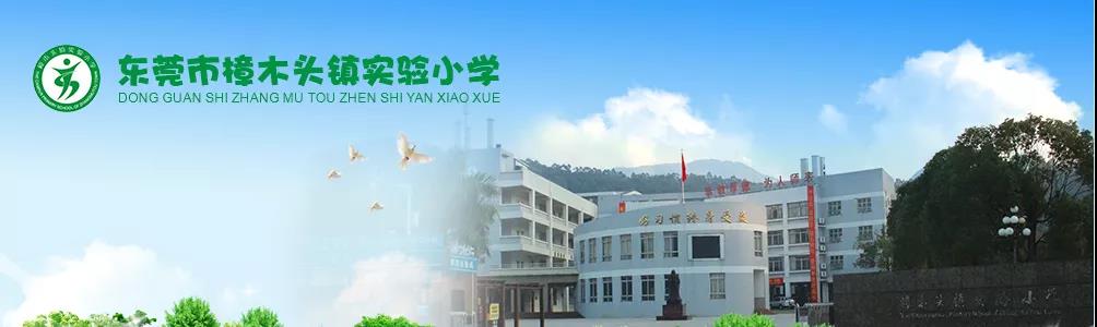 實(shí)驗小學(xué)大門